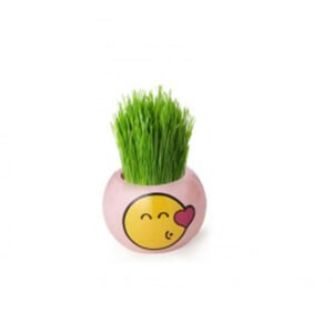 Paris Garden Smileys Girl New Official Licensee - Yellow