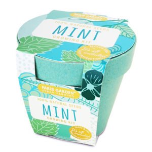 Paris Garden Mint Bio Pots Collection Bamboo Fiber Pots New Designs