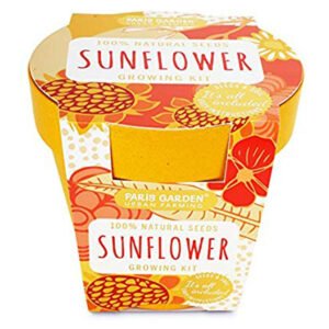 Paris Garden Sunflower Bio Pots Collection Bamboo Fiber Pots New Designs