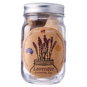 Paris Garden Mason Lavendor Growing Jar - Transparent