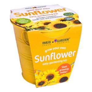 Paris Garden Sunflower Mini Zinc Collectio Flowers & Fruit Sprayed Color Round Pots