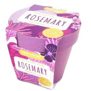 Paris Garden Rosemary Bio Pots Collection Bamboo Fiber Pots New Designs