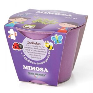 Paris Garden Mimosa-Kids Bio Pots Collection Including 4 Cute Stickers To Decorate Pots