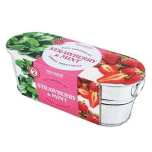 Paris Garden Strawberry & Mint Mini Zinc Collection Colour Oval Pots Duo Collection 2 Seeds Varieties