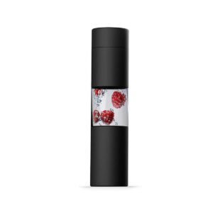 Asobu ASOBU Flavor U See a Stainless Steel Fruit Infuser Slim and Classy Water Bottle Black