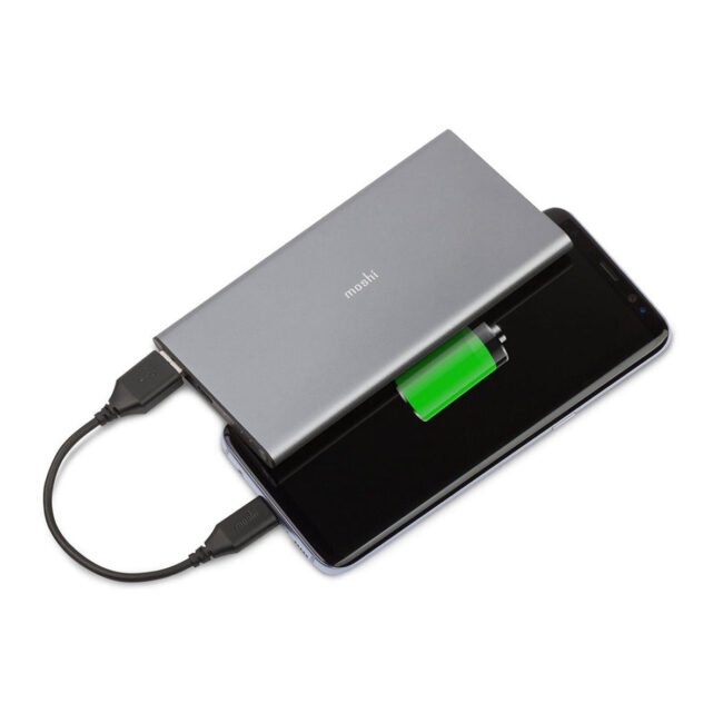 st-mi-mshi-l-022144-02.jpg Moshi MOSHI IONBANK 5000 mAh Portable Battery USB-C- Titanium Gray in UAE