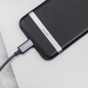 Moshi MOSHI Integra USB-C To USB-A Charge / Sync Cable Titanium Gray in UAE
