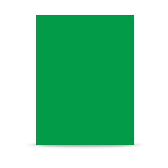 Visico Paper Background 1.38 X 11M. Green in UAE