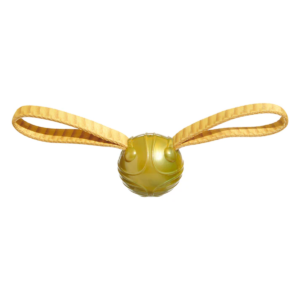 The Golden Snitch™