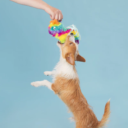 BOX_06-2021_BLUE_208997_FULL-O-FLUFF-PINATA-S_2035