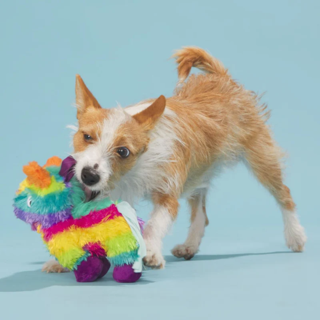 BOX_06-2021_BLUE_208997_FULL-O-FLUFF-PINATA-S_2112_1