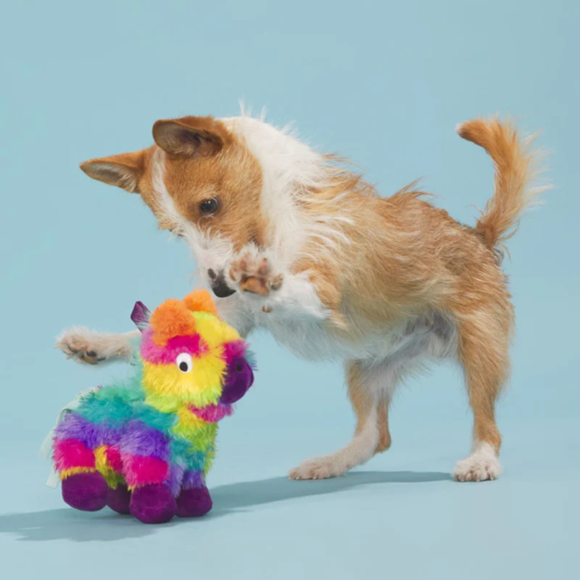 BOX_06-2021_BLUE_208997_FULL-O-FLUFF-PINATA-S_2140
