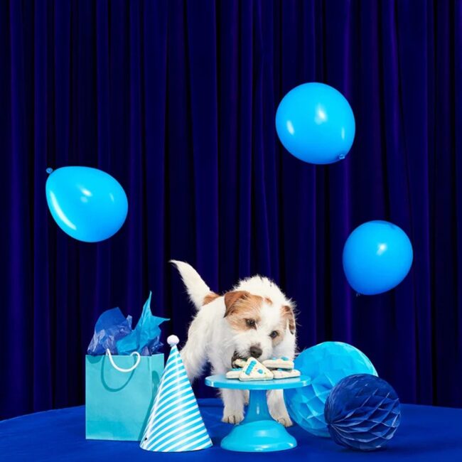 BarkdayCake2