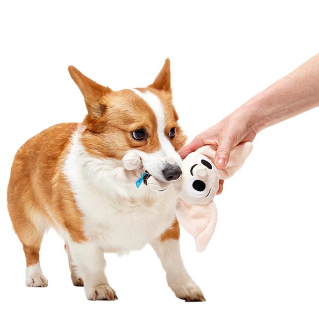 Dobby7