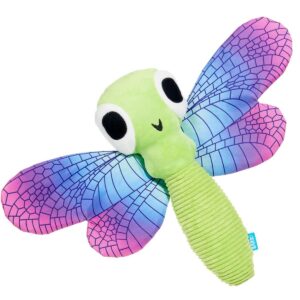 DRAGONFLY GUY