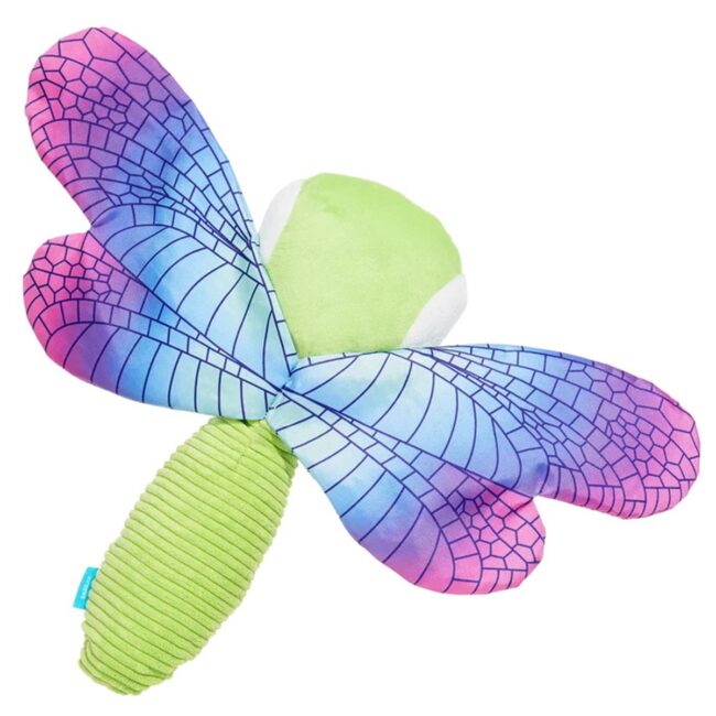 DragonflyGuy2