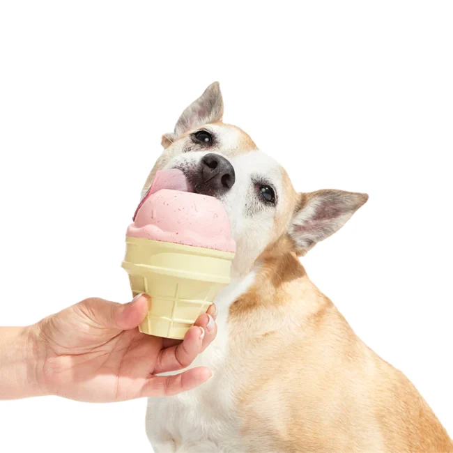 ISqueakCone2