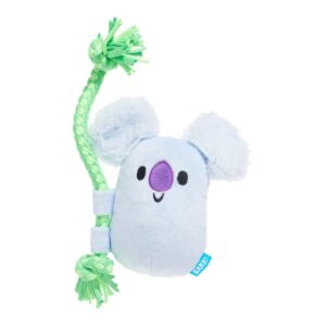 Koa Koala