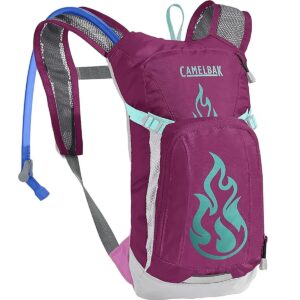 Camelbak Mini M.U.L.E. 50 oz Hydration Backpack – Baton Rouge / Flames