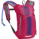 camelbak-mini-mule-50oz-hydration-backpack-pink-purple1_1024x1024