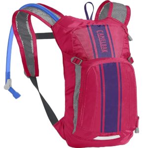 Camelbak Mini M.U.L.E. 50 oz Hydration Backpack – Hot Pink/Purple Stripe