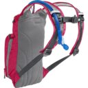 camelbak-mini-mule-50oz-hydration-backpack-pink-purple_1024x1024