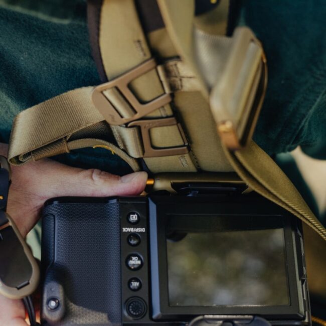 capture-kelp-lifestyle-159A0439 capture-kelp-lifestyle-159A0439