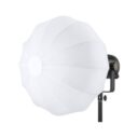 cs50d_b