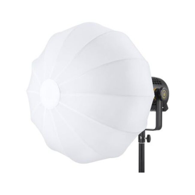 cs50d_b cs50d_b