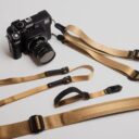 straps-coyote-family-159A9789_aa7317aa-fc86-4ef4-9b74-e29f2a5686bc