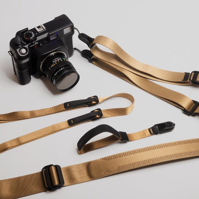 straps-coyote-family-159A9789_aa7317aa-fc86-4ef4-9b74-e29f2a5686bc