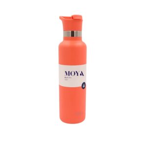 Black Sea 700ml Stainless Steel Water Bottles Spout