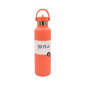 Black Sea 700ml Stainless Steel Water Bottles Straw