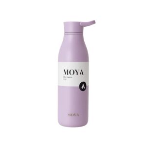 Blue Lagoon 460ml Stainless Steel Water Bottle